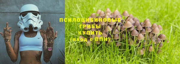 mdpv Алзамай